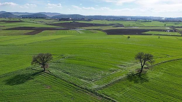 Edirne'de çiftçiye müjdeli haber: Bu üç uygulama doğru yapılırsa rekolte fırlayacak