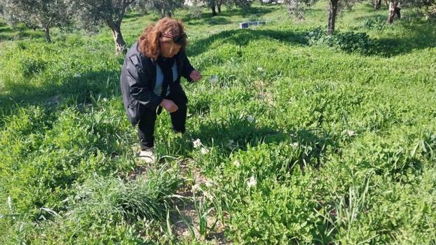 Kış ortasında gelir kendine gelir kapısı yarattı! Mersin'de 1 yılda 4 bin boğum elde etti