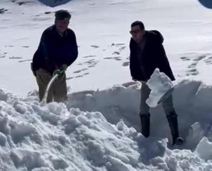 Bir ilçenin simgesiydi, dağlardan toplanır oldu! Yüzyıllık yönteme hazırlanıyor