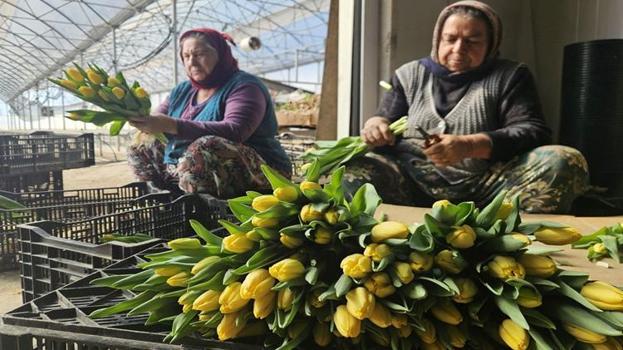 Türkiye'de tek! Sadece suyla 500 bin adet üretildi: Talep patladı, Antalya'dan tüm Türkiye'ye gönderiliyor