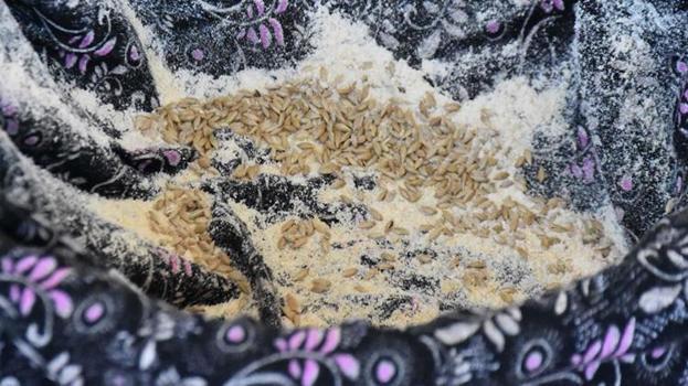 Liseli gençler keşfetti! Kıyıda buldular, sofraya getirdiler: Buğday ve arpaya rakip çıktı