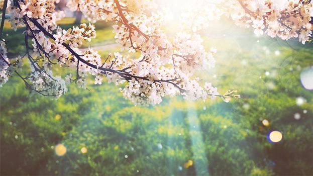 Üçüncü cemre düştü mü? Son cemre ne zaman düşecek İşte bahar müjdecisi 3. cemre düşme tarihi ve günü 2026!