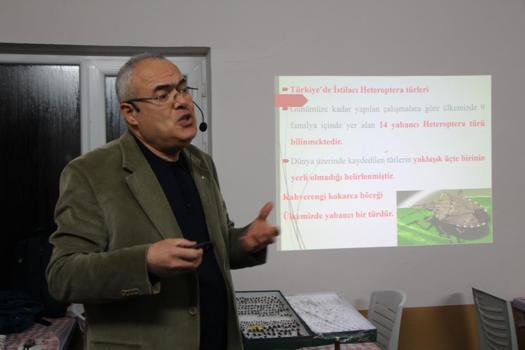 Fındık üreticisine müjde: Karadeniz'de kahverengi kokarca istilasında flaş tarih: 2030’da tamamen yok oluyor!