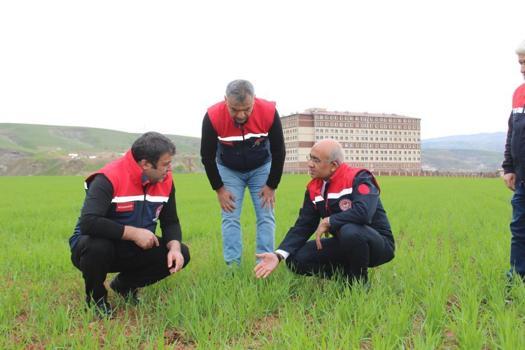 Yağışlar yüzde 150 arttı, ürünlerin fiyatları olumlu yönde etkilenebilir