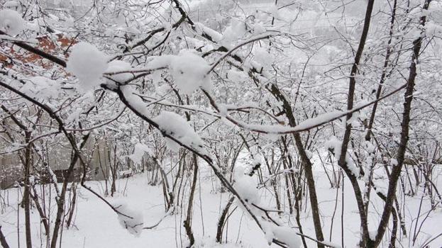 Üreticinin kabusuna bilimsel açıklama: Şu an risk yok, fayda var
