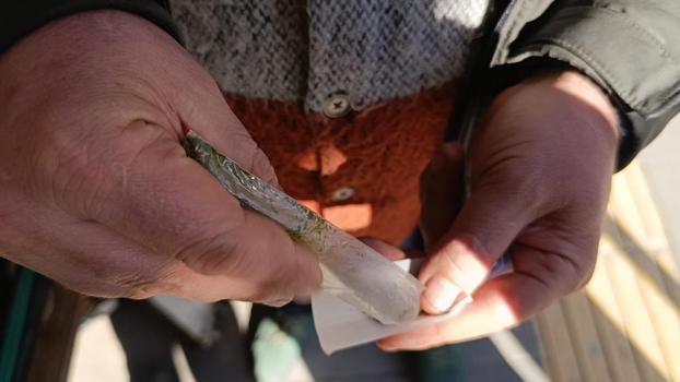 Bu otu kullananlar dikkat! Günde 8 paket sigaraya bedel