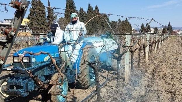 Erzincan Tarım Müdürlüğü’nden üreticilere bordo bulamacı uyarısı: Uygulama zamanını kaçırmayın