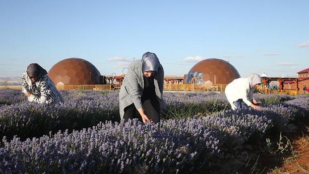Türkiye'nin en büyüğü, sadece 7 kadın üretti! Tek sözüyle şehir harekete geçti, 81 il sıra bekliyor