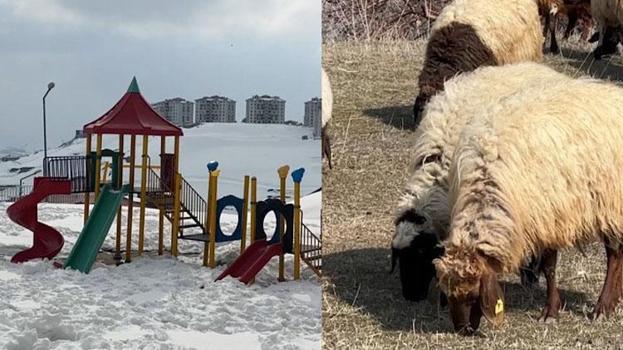 40 kilometre arayla iki mevsim: Yüksekova'da son 10 yılın en çetin kışı, Esendere'de bahar havası