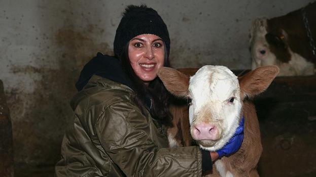 Kars'ta kadın girişimci hayvancılığa başladı! 47 hayvanı devlet verdi gerisini o artırdı