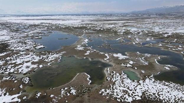 Erzincan'da görsel şölen: Ekşisu Kuş Cenneti büyülüyor