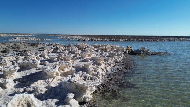 Kuruma tehlikesi vardı! Tuz Gölü yeniden canlandı