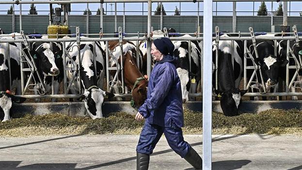 Kırklareli'de kurulan teknolojik tesis verimi yüzde yüz artırıyor! Hayvanlarda tüp bebek modelini hayata geçirdiler