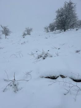 Aydın'da sürpriz kar: Bozdoğan beyaza büründü