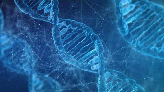 Ülke tarihinin en tehlikeli seri katilinin cinayeti 51 yıl sonra kesinleşti