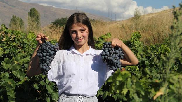 Erzincan'ın iki hazinesi koruma altında! Üreticinin yüzü gülüyor: Artık dünya mirası