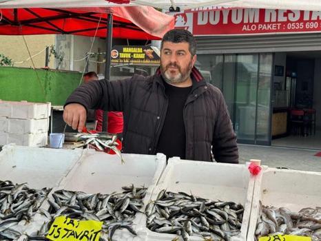 Tezgahlarda istavrit bolluğu! Kilosu 100 liradan satılıyor
