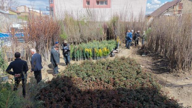 Elmadan kiraza kayısıdan vişneye kadar her çeşit var! Fiyatları 250 liradan başlıyor