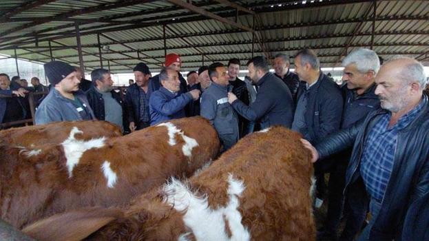 Bolu'da bayrama sayılı günler kala kurban pazarlarında hareketlilik başladı