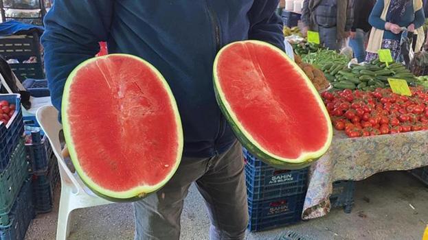 Karpuz dilim dilim pazara düştü! Fiyatı yüksek ama satın alan çok
