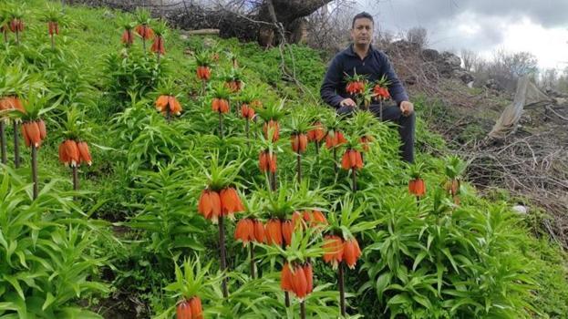 Sadece 20 gün görülebilecek! Koparmanın cezası tam 700 bin TL: Görmek için oraya koştular