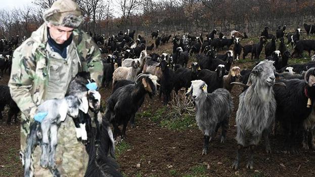 Yıllardır kayıp veriyordu, çözümü 1 torba kireçte buldu: Hayat kurtaran yöntemi açıkladı
