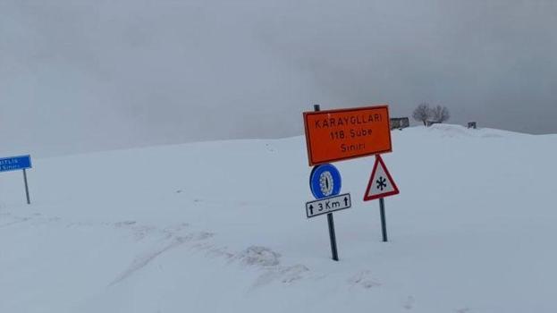 Muş’ta tipi etkili oldu Hasköy-Mutki yolu ulaşıma kapatıldı