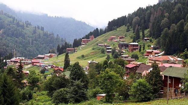Trabzon, Rize, Artvin, Giresun'da tehlike başladı! Köylüler diken üstünde: Her an karşımıza çıkabilir