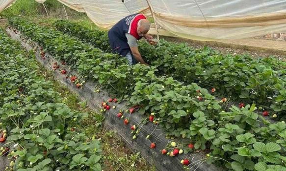 Aydın'da çalışmalar başladı: Üreticilere son uyarı yapıldı