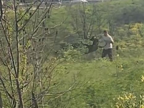 Çevredekileri aldırış etmedi: Avcılar'da köpeğe kemerli dehşet!