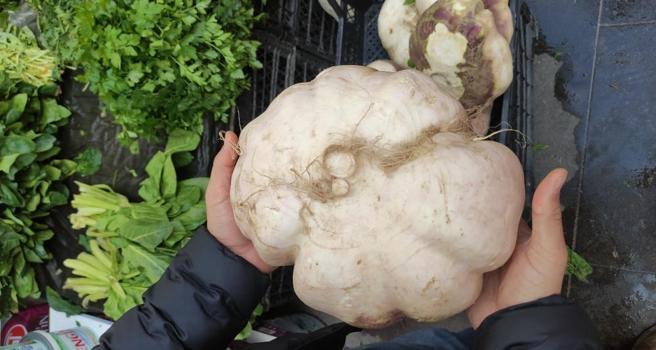 Normalde 100 gram oluyor! Batman'da dev sebze 4 kilogram ağırlığında