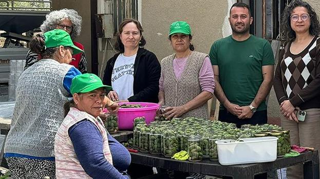 Muğla’nın 'yeşil altını' kavanozlara girdi! Hasadın ardından kadınlar harekete geçti: Taleplere yetişilemiyor!