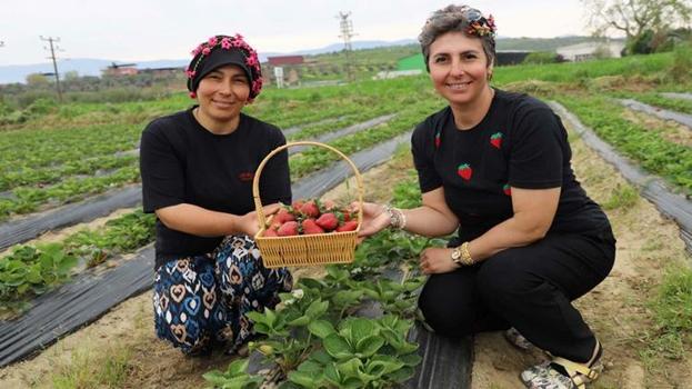 1 dekar alana ilk defa ekti, hayatı bir anda değişti! Kazancı katlandı: Duyan kapısında kuyruk oluyor
