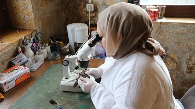 Hayvancılık bu bölgede 1500 yıldır değişmedi: Karadeniz'in Efes'i Hadrianopolis'te büyük keşif! 'Osmanlı’dan çok daha eskiymiş'