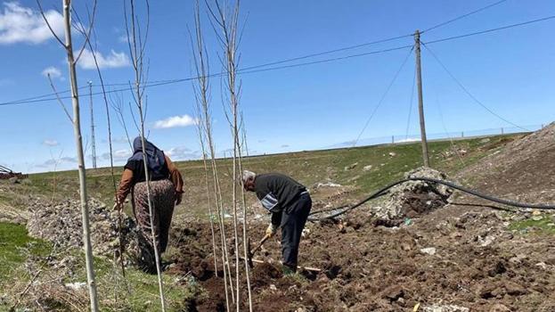 Ağrı'da köylüler imece usulü fidan dikimine başladılar: Traktörünü alan geldi, binlerce fidan toprakla buluştu!
