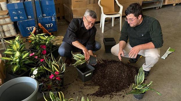 Bitkilerden üretildi: Tek bir tanesi 25 metrekarelik odayı aydınlatıyor! Bolu'da bilim insanları fotosentezi elektriğe dönüştürdüler