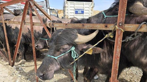 Yozgat'ta yüzde 50 hibeli 2.4 milyon liralık proje: Üreticilere teslimler başladı