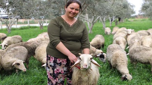 Babasının hediye ettiği bir kuzu hayatını değiştirdi! Oğlu için başladı şimdi patron oldu