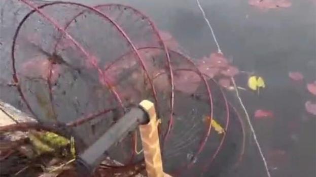 Afyonkarahisar’da ekipler pusuyu bozdu! ‘Nilüfer Cenneti’ kurtuldu