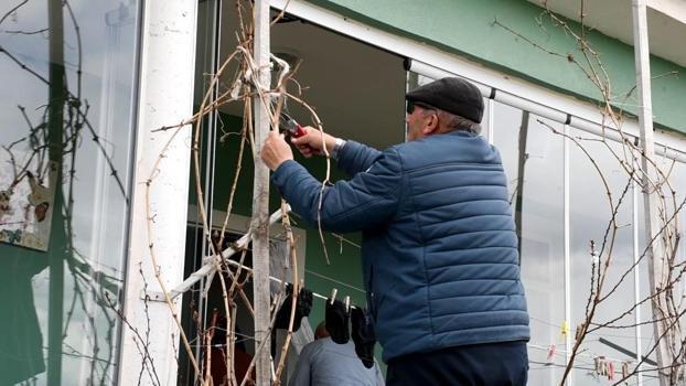 Geçen yıl don vurmuştu, üretici bu yıl umutlu! Fiyatlar düşebilir