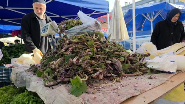 Şifa dağıtan ot tezgahlardaki yerini aldı! Fiyatı 80 liradan başlıyor