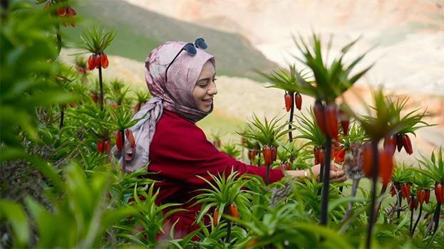 Ömürleri sadece 20 gün! Muş'un 'ağlayan gelinleri'ni görmek isteyenler 2 saatlik zorlu yolu aşıyor
