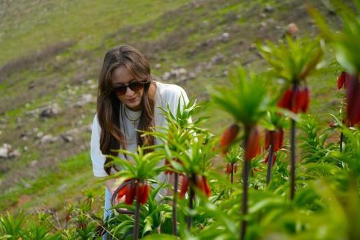 Muş'ta ters laleler açtı! Görsel şölen oluştu