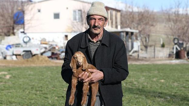Niğde'de eski hükümlüye devlet desteği! Başvurusu kabul edildi, sürü sahibi oldu