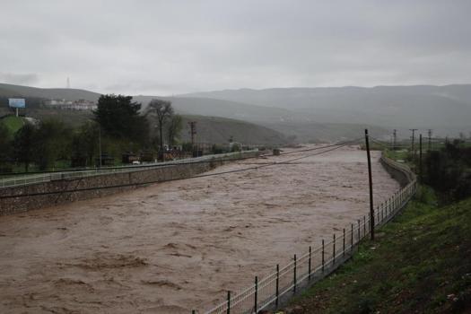 Siirt'te sel bilançosu! Toprak kayması yaşandı, 400 e yakın hayvan telef oldu