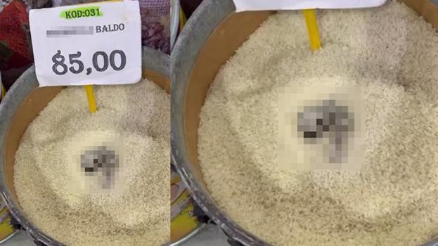 Açıkta satılan üründe kedi dışkısı görüldü, 52 bin TL ceza kesildi