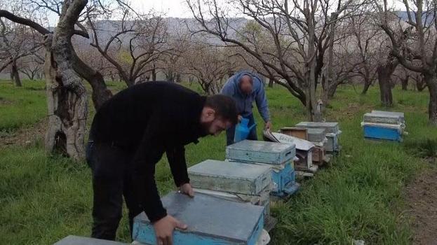 Kars'ta dede mesleği yaşatılıyor: Bölgenin köklü geçim kaynağında yeni sezon başladı