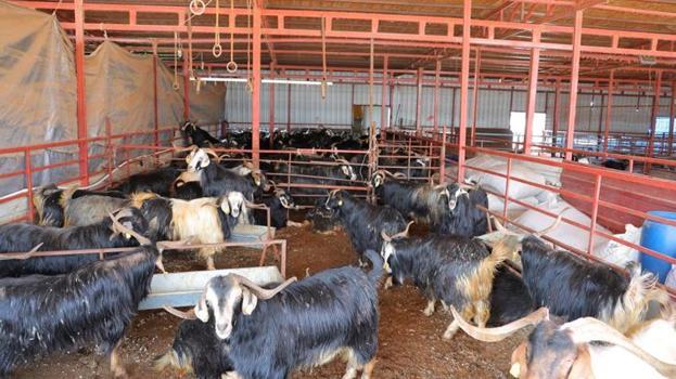 Kahramanmaraş'ta indirim müjdesi! Yeni karar devreye alındı