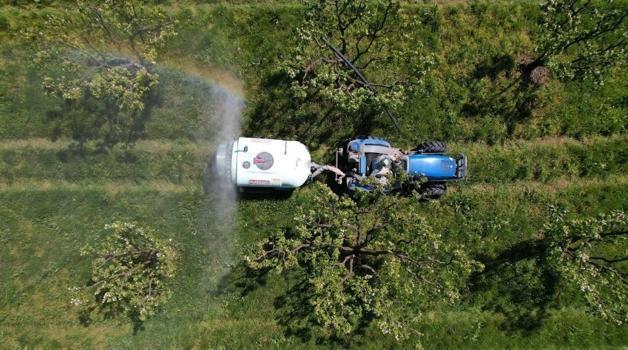 Türkiye'nin ihtiyacının yüzde 52'sini karşılıyor! Sakarya'da hasat başladı, ihracatı da yapılıyor