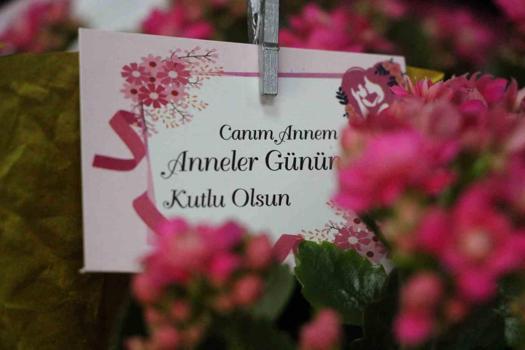 Anneler Günü ne zaman? Anneler Günü'ne kaç gün kaldı? Anneler Günü nasıl ortaya çıktı